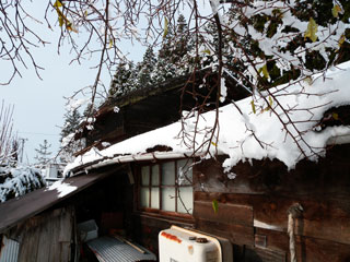 里山に初雪.jpg